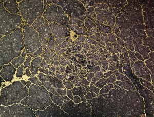 Kintsugi: The Japanese art of repairing with gold – Sip of Culture